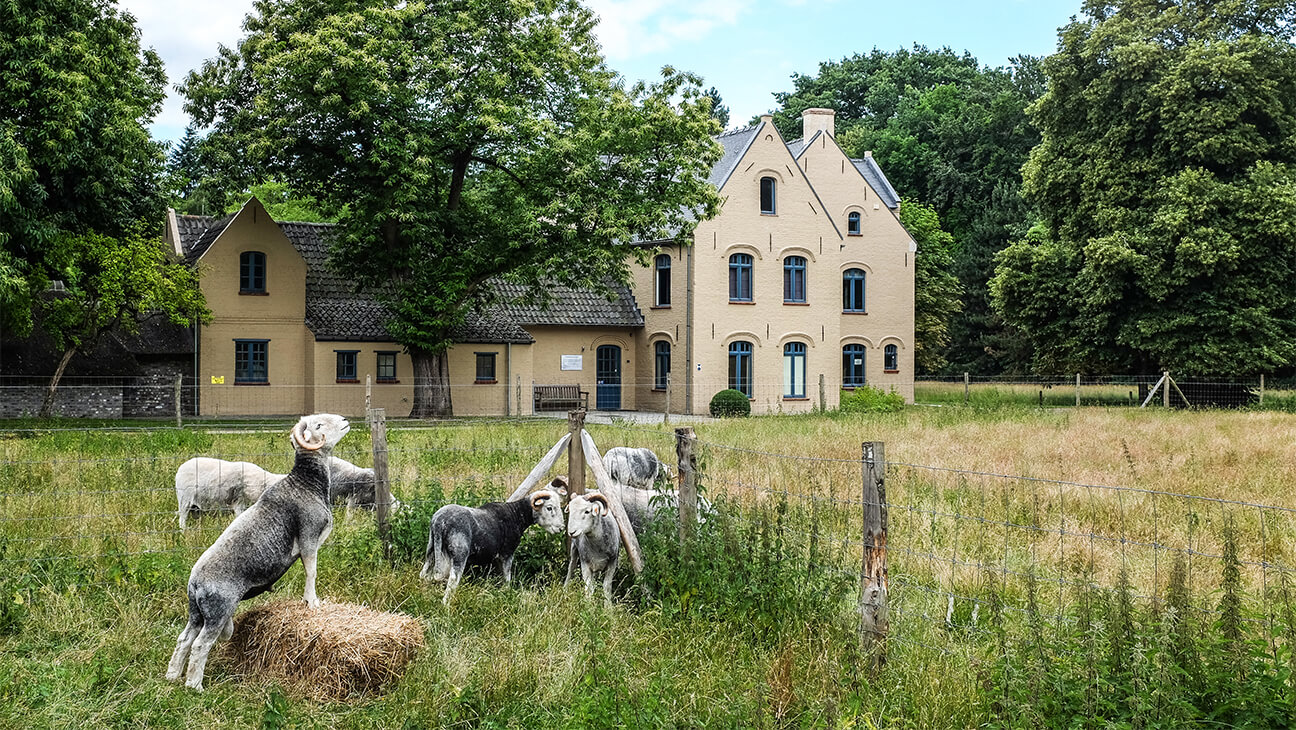 museum Gevaert-Minne