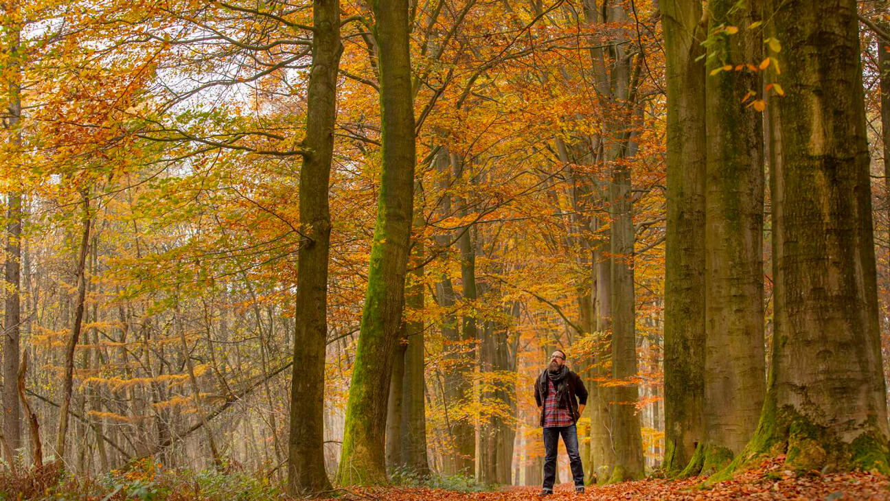 Landschapspark Bulskampveld