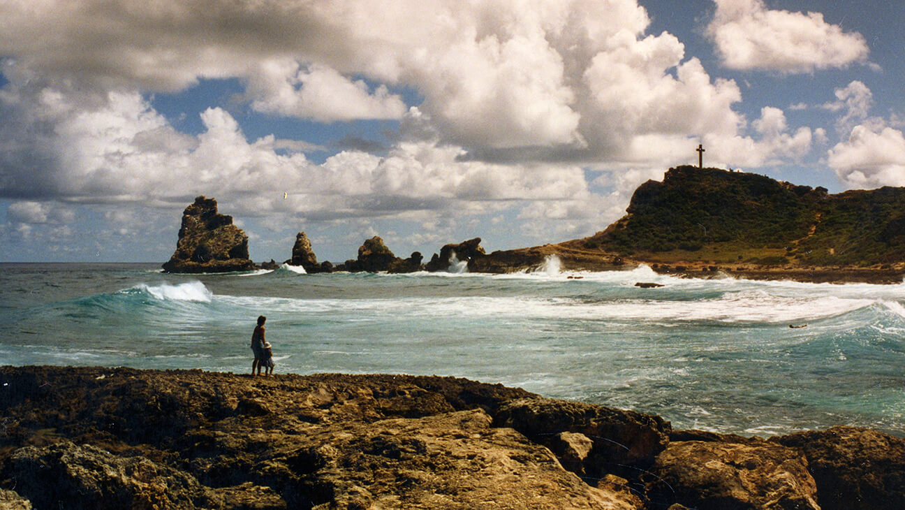 Extrait de Les Oiseaux du paradis