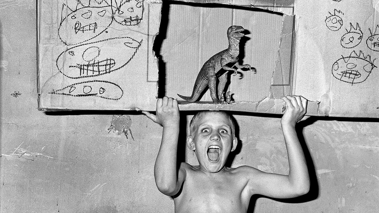 Roger Ballen, Roar, 2002, uit de reeks Shadow Chamber, foto.