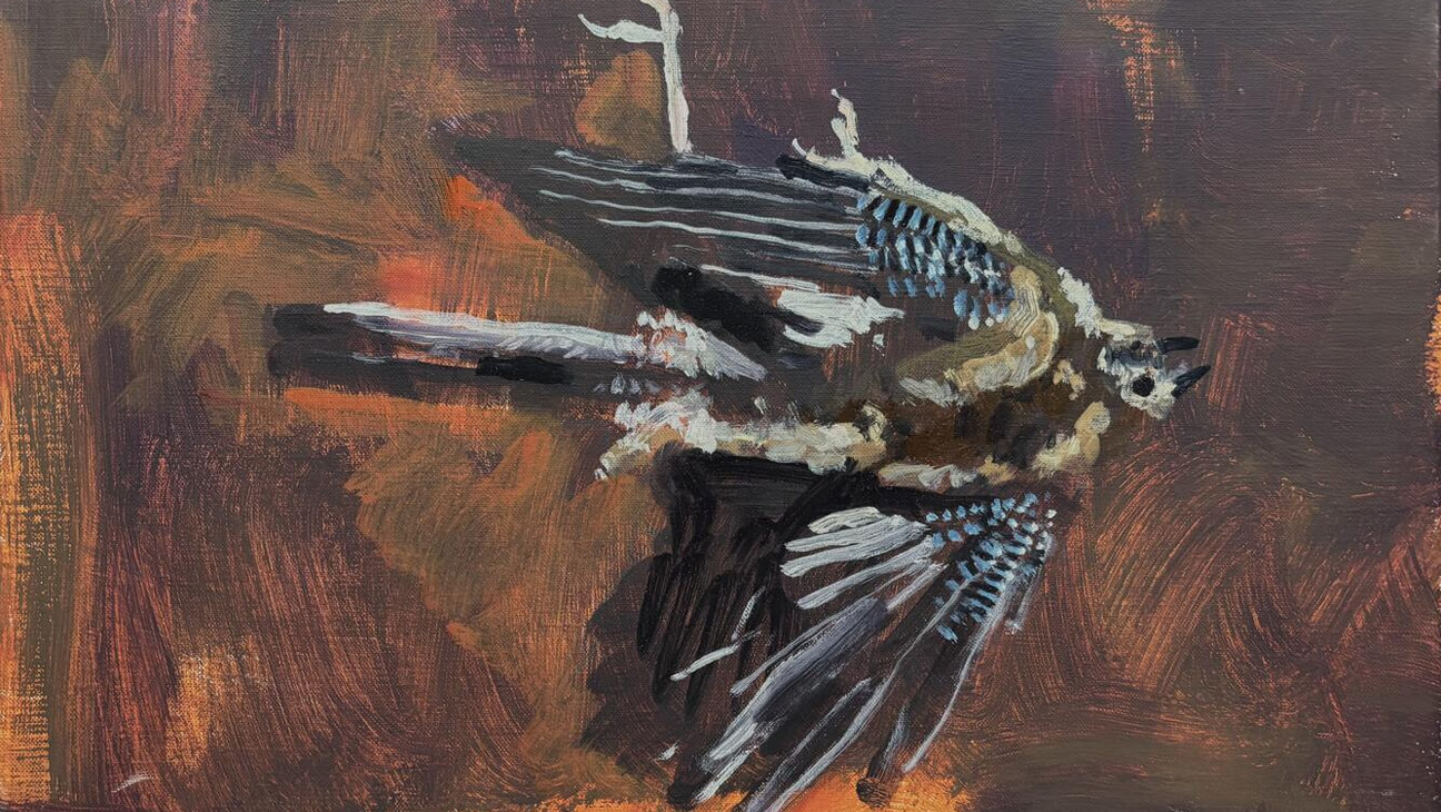 Koen Broucke: Voorstudie Mijn Guernica - Gaai