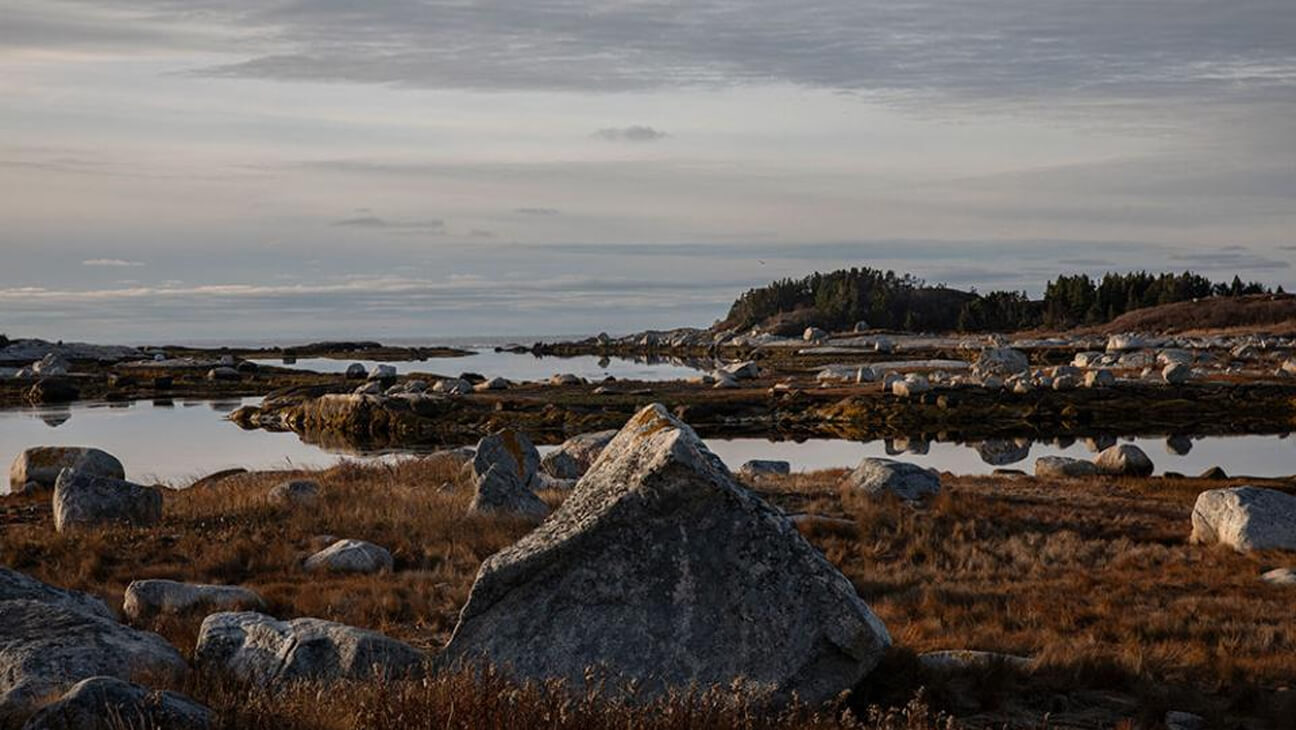 Foto van Mashid Mohadjerin uit de expo 'Drifting Belgians'