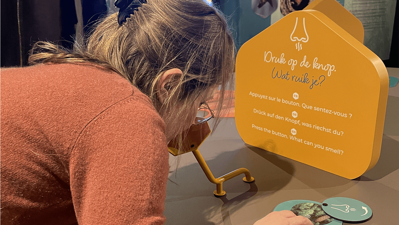 Meisje ruikt in het insectenmuseum