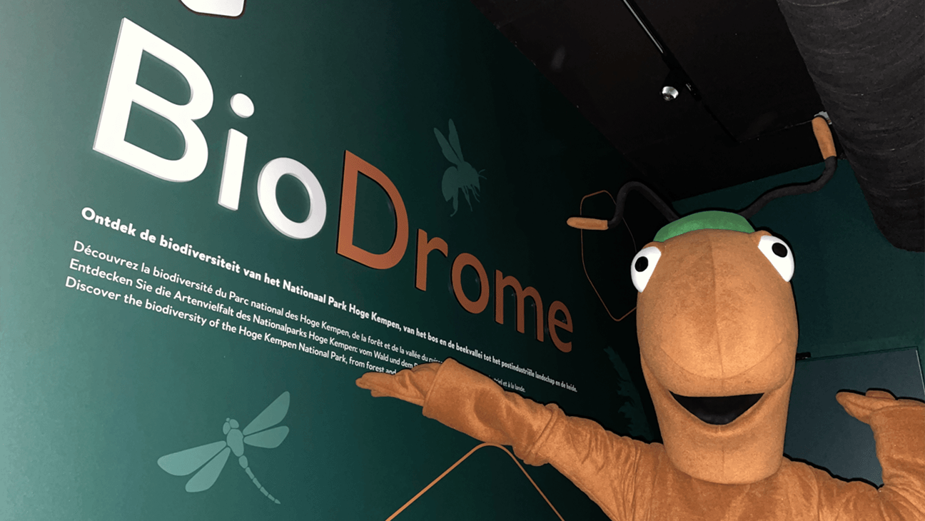 Mascotte van het insectenmuseum