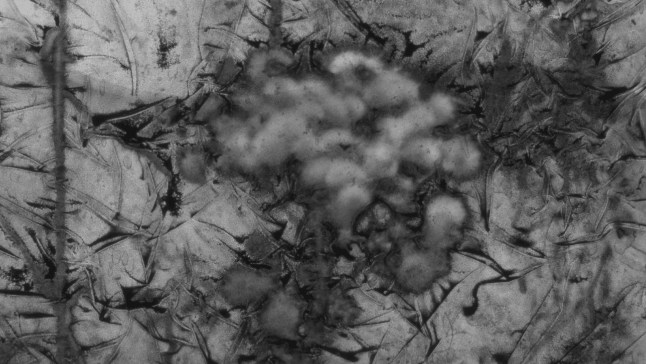 Foto uit de Expo 'Alex Schuurbiers. Placeholder'
