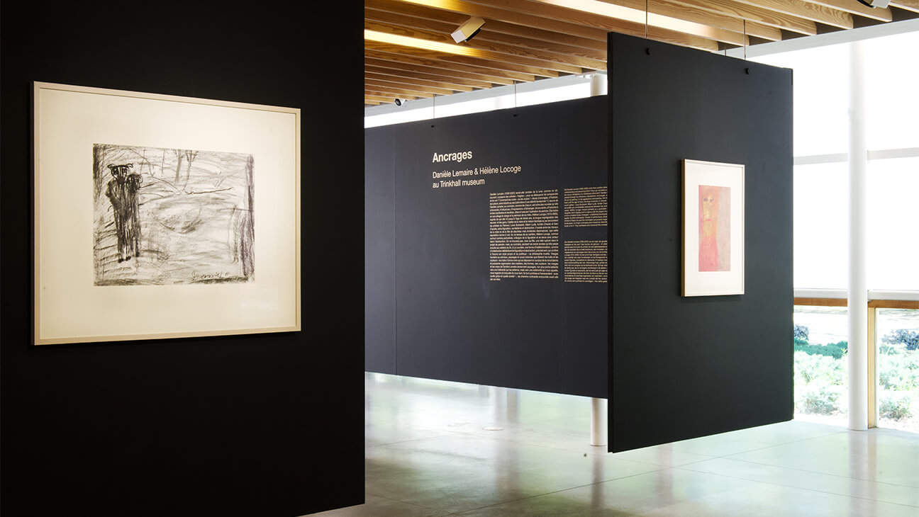 Zaal met kunstwerken van Danièle Lemaire 