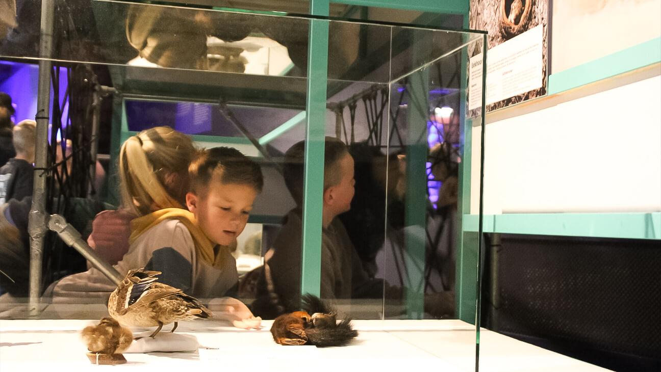Kind op de expo 'slaap lekker'