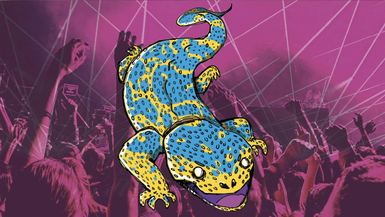 Kleurrijk reptiel op een paarse achtergrond van een feestende massa
